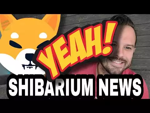 Shiba Inu Coin | Finally Some News About Shibarium