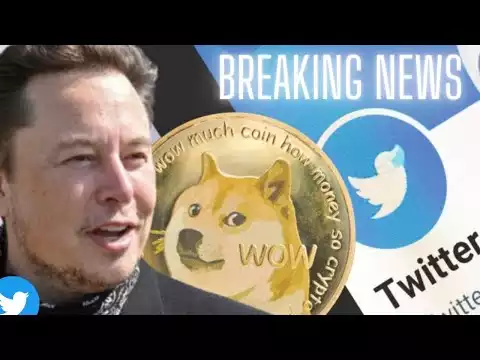 Breaking Elon Musk Halts Dogecoin Rally ( Twitter Crypto Update )
