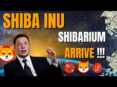 🦊SHIBA INU : Préparez Vous... Shibarium Arrive!!!