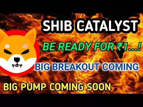 Shiba Inu Insane Update � This Could Cause SHIB to Breakout �Shiba Inu Latest Price Analysis