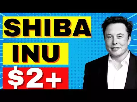 Shiba Inu Coin News Today - Elon Musk acts to support Shiba.