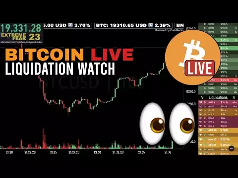 [Archived] Bitcoin Pre-Midterms Liquidation Watch Livestream
