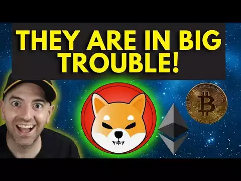 Everything You Need To Know About The Crypto Market And Stock Market | SHIBA INU,BITCOIN, AMC STOCK