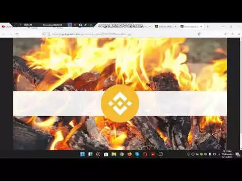 Binance BNB Burn Explained   How Much BNB COIN is Burnt and When