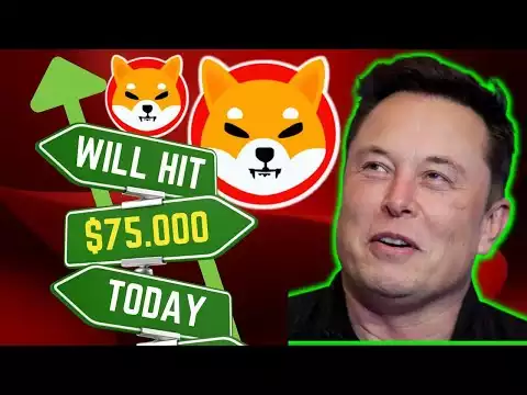 Elon Musk Revealed Shiba Inu Better Than Dogecoin �