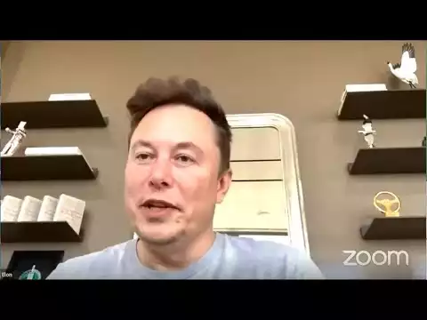 😱Bitcoin and Ethereum 🔴 Powerful MOVEMENT on November ⁉️ Elon Musk and Cathie Wood big interview
