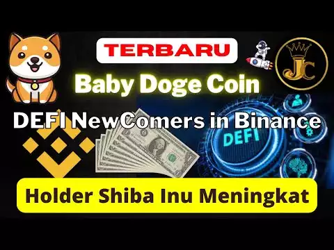 Baby Doge Coin DeFi Newcomers di Binance BNBChain buat Paus BNB aktif dan Holder Shiba Inu meningkat