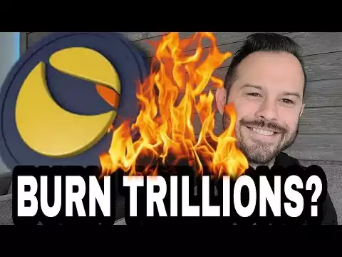 Terra Luna Classic | Will We Be able To Burn Trillions of LUNC With Utility?