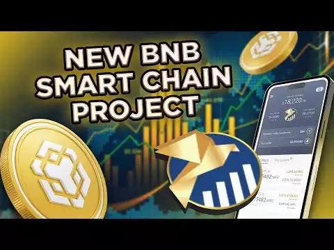 New BNB Smart Chain Project with an AUDIT