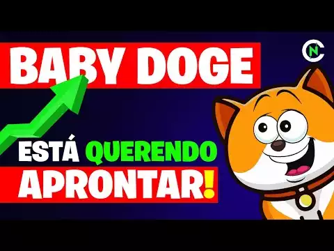 � CHEGANDO NO PONTO! BABY DOGE COIN! Crypto News