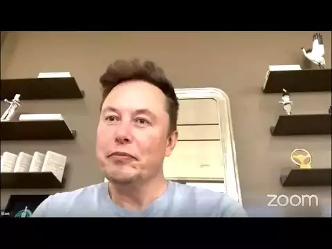 Elon Musk: What Is The Crypto Bottom? Ethereum/Bitcoin News!
