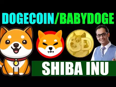 Dogecoin Win After Elon Musk Announcement | Shiba Inu Coin | Baby Dogecoin | Crypto news today