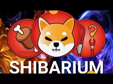 Shibarium Update: Dev Riddle About Shibarium