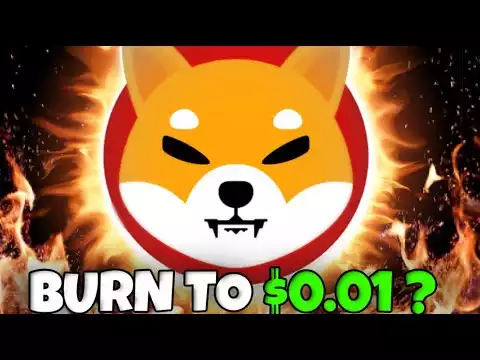 THIS BURNING RATE MIGHT HELP ACHIEVE THE $0.01 SHIBA INU DREAM!!!