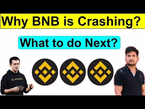 Why BNB is Crashing? BNB Coin News Today | BNB Coin Future | Binance News