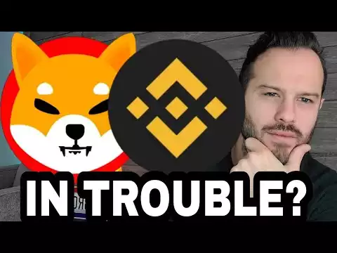 Shiba Inu Coin | Binance Trouble Could Lead To HUGE Problems For SHIB