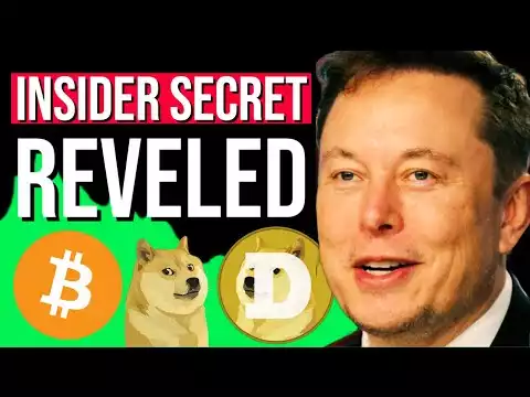 Dogecoin, Shiba Inu & Bitcoin Breaking News! -FTX insider turned on ( SBF)  Sam Bankman-Fried
