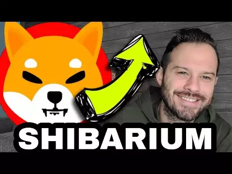 Shiba Inu Coin | Can Shibarium Save SHIB During This Bear Market?