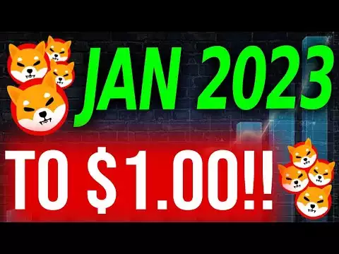 EXPERTS JUST SHARED THEIR THOUGHTS ABOUT SHIB PRICE BY NEW YEAR�S EVE!! - SHIBA INU NEWS