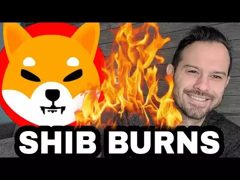 Shiba Inu Coin | SHIB Burns Are Way Up! But Is It Enough?