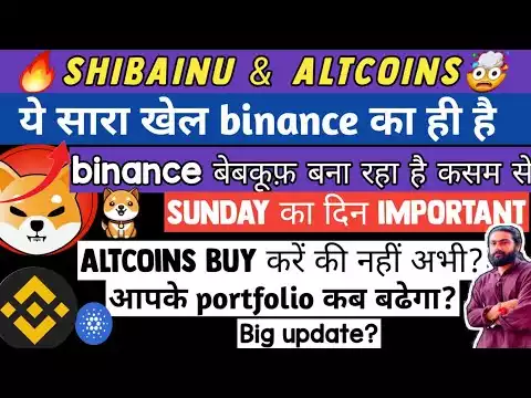 � binance �� coins dump �� बाद प�प �्य�� ? Shibainu news today | crypto currency | fil bnb matic