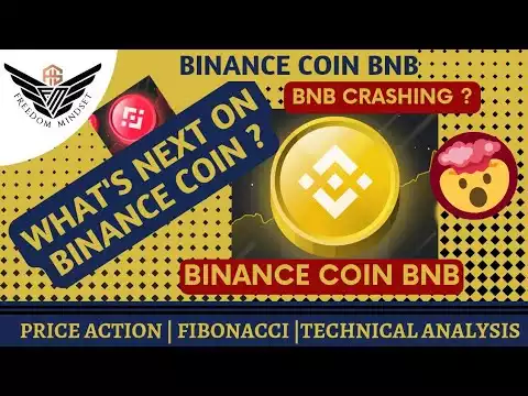 Binance Coin BNB Price News Today - BNB Technical Analysis using Price Action / Fibonacci