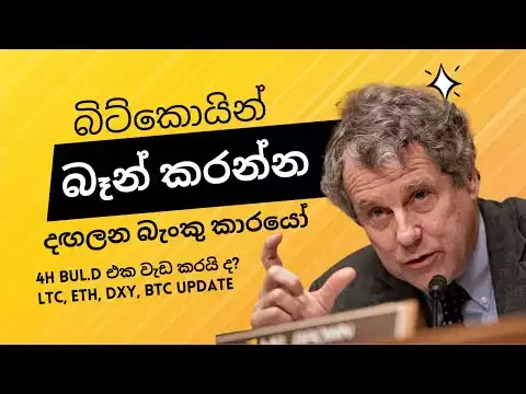 They are fighting hard, but Bitcoin should win! - 4h Bull.D, LTC, ETH, DXY, BTC Update - Sinhala