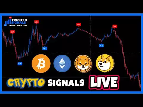 Bitcoin Ethereum Shiba Doge Signals LIVE  | 5 Minute Chart **24/7 Live Demo**