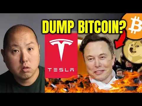 Tesla Stock Sinks to a New Low...Will Elon Dump Bitcoin Next?