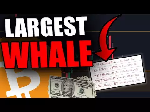 THE LARGEST BITCOIN WHALE JUST SENT $200,000,000 BITCOIN