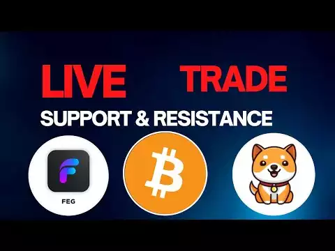 TRADE SUPPORT AND RESISTANCE IN CRYPTO (Feg Token, Baby DogeCoin, Brise Coin, Bitcoin)