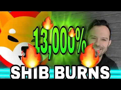 Shiba Inu Coin | SHIB Burns Experience HUGE Increase!