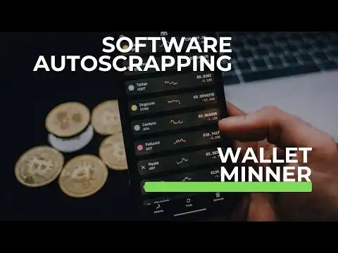WalletMinner Scrapping Wallets on BNB|BTC|ETH|USDT|XRP CHAINS