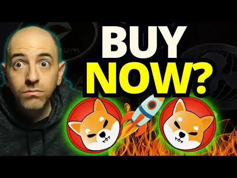 IS NOW THE TIME TO BUY SHIBA INU? MY ANSWER WILL SHOCK YOU!