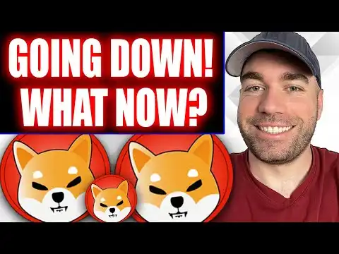 SHIBA INU COIN: Going Down Right Now! Can Tomorrow's News Save The Day?