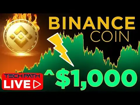 EARNING $1,000 /DAY ON BINANCE COIN, IS SO AMAZING, JUST TRY IT?