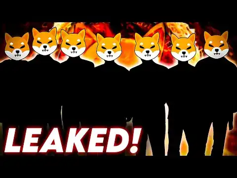 LEAKED! SHIBA INU ARMY: IF YOU ARE HOLDING 1.000.000 TOKENS YOU NEED TO SEE THIS!! ? EXPLAINED