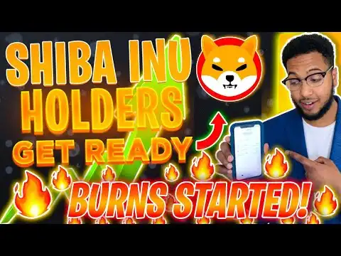 SHIBA INU: BURN RATE UP 1000% IN 24 HOURS! IS IT TIME!?