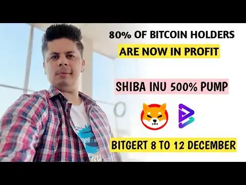 Shiba Inu 500% | Bitgert | Bitcoin 80% Holder in Profit | Alchemy Pay | 40 Lakh Chainlink | Babydoge