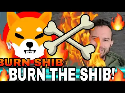 Shiba Inu Coin | Will The Team Stop Burning SHIB and Start Burning BONE?!?!
