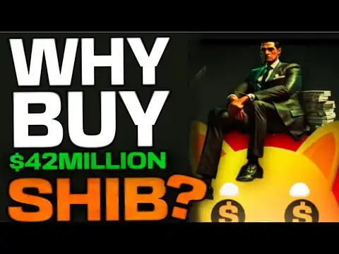 WHY DID SOMEONE BUY 42 MILLION DOLLARS WORTH OF SHIBA INU COIN RECENTLY???