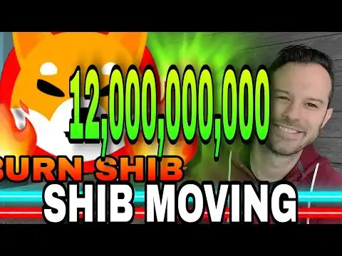 Shiba Inu Coin | 12 Billion SHIB on The Move!