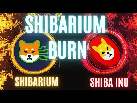 SHIBARIUM BURN UPDATE: DAY 1 SHIBA INU BURNS
