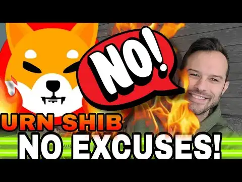 Shiba Inu Coin | No SHIB Burns No Excuses!