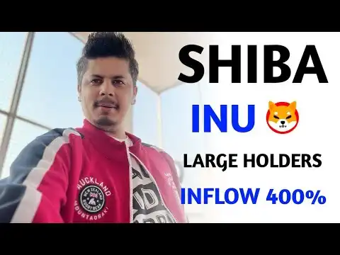 Shiba Inu Large Holders Inflow 400%   