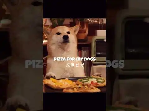 Dog Eating Pizza#shibainu