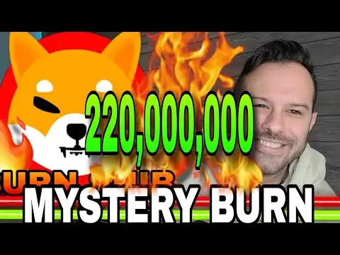 Shiba Inu Coin | Mystery SHIB Burn Destroys Hundreds Of Millions!