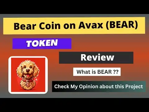 What is Bear Coin on Avax (BEAR) Coin | Review About BEAR Token
