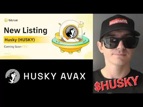$HUSKY - HUSKY AVAX TOKEN CRYPTO COIN HOW TO BUY BITRUE GLOBAL AVALANCHE TRADER JOE DEX CEX MEMECOIN