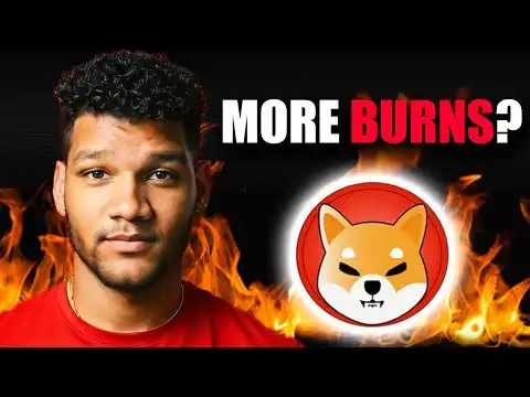 What Happened? When Will We See More #SHIB Burns?